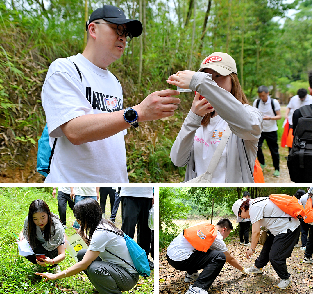 【生態(tài)共赴，服務(wù)精神重塑】慧澤集團(tuán)2025文化守護(hù)日?qǐng)A滿舉行